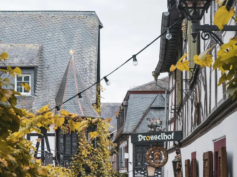 Schiefergiebel und Fachwerk in der Drosselgasse, gelbes Weinlaub und eine Lichterkette über der Gasse