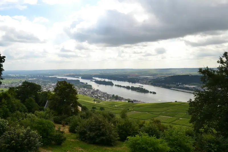Blick von einer bewaldeten Anhöhe über Weinberge auf den breiten Rhein mit Inseln, am Horizont Hügel