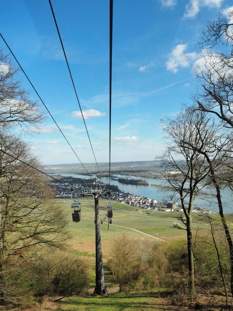 Seilbahnkabinen an Seilen über einem Hang mit Weinbergen, unten im Tal der Rhein und der Ort