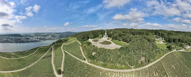 Luftbild: Weinberge am Hang über dem Rhein, in der Mitte auf der bewaldeten Kuppe das Niederwalddenkmal